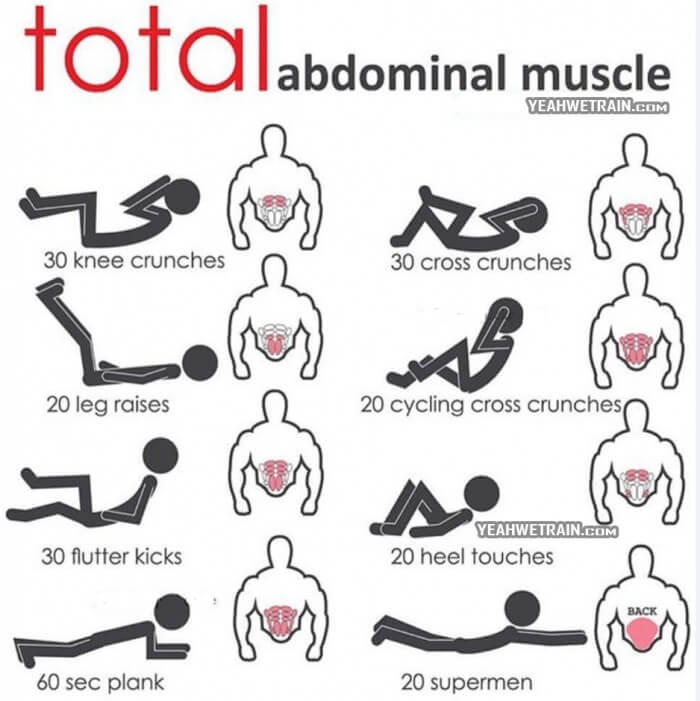 Total Abdominal Muscle - Healthy Fitness Abs Training Plan Core